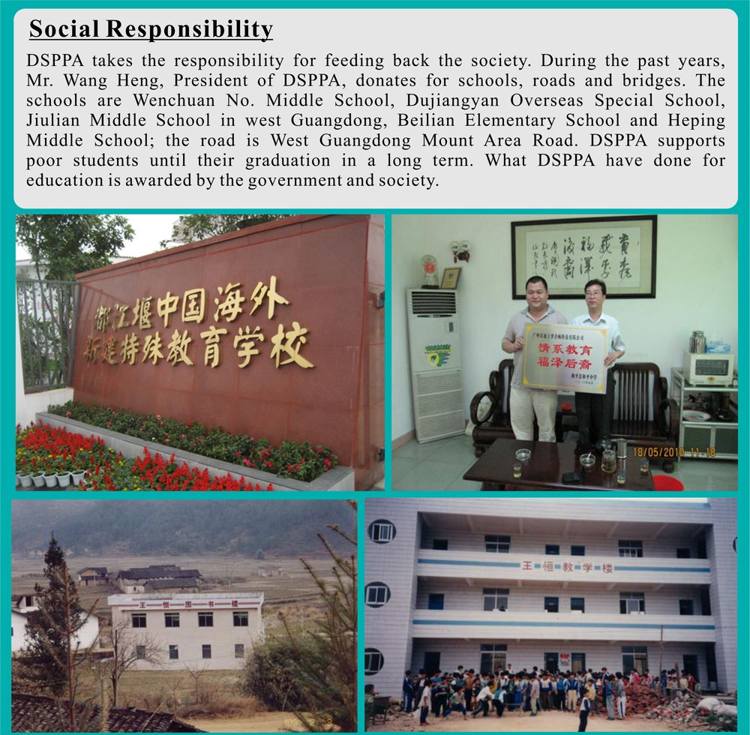 dsppa's social responsibility
